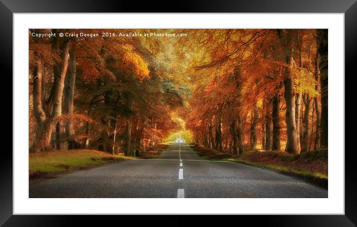 Autumn Drive Framed Mounted Print by Craig Doogan