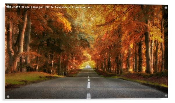 Autumn Drive Acrylic by Craig Doogan