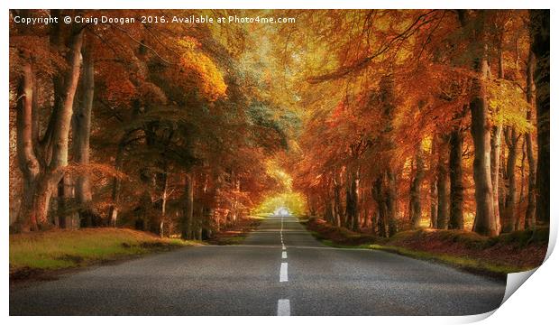 Autumn Drive Print by Craig Doogan