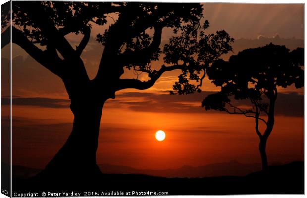 Sunset Silhouette #2 Canvas Print by Peter Yardley