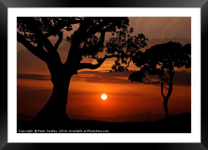 Sunset Silhouette #2 Framed Mounted Print by Peter Yardley