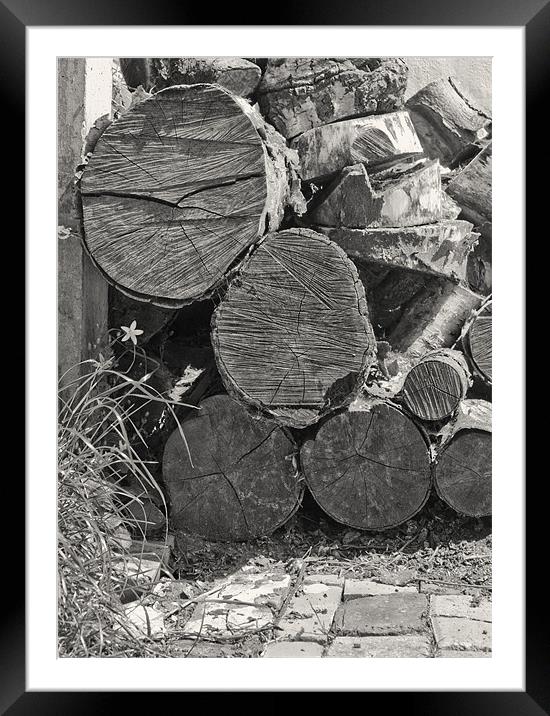 Log Pile Framed Mounted Print by Graham Lester George
