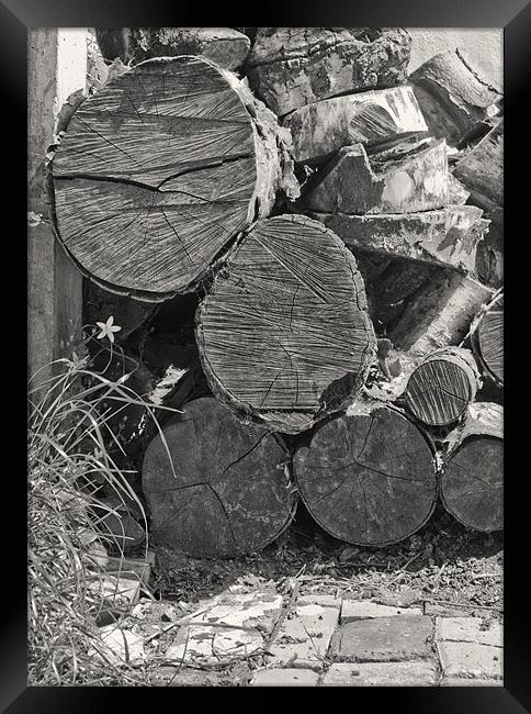 Log Pile Framed Print by Graham Lester George