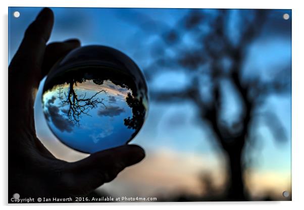 Glass Ball Tree Acrylic by Ian Haworth