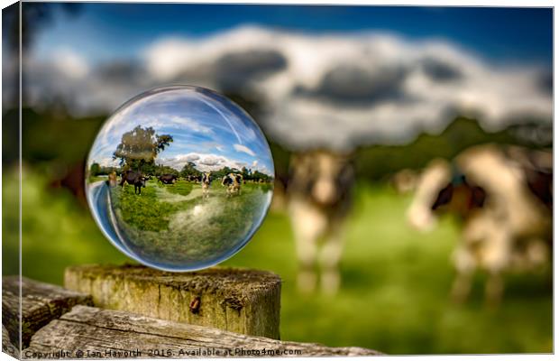 From Grass To Glass Canvas Print by Ian Haworth