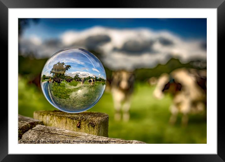 From Grass To Glass Framed Mounted Print by Ian Haworth
