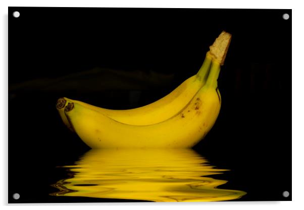 Ripe Yellow Bananas Acrylic by David French