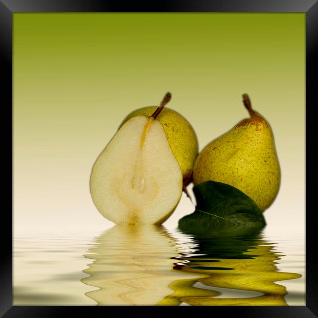 Fresh Pears Fruit Framed Print by David French