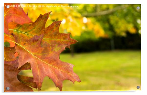 Autumn leaves  Acrylic by Shaun Jacobs