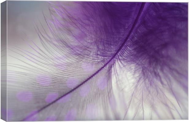 Light Purple Dream                                 Canvas Print by Jenny Rainbow