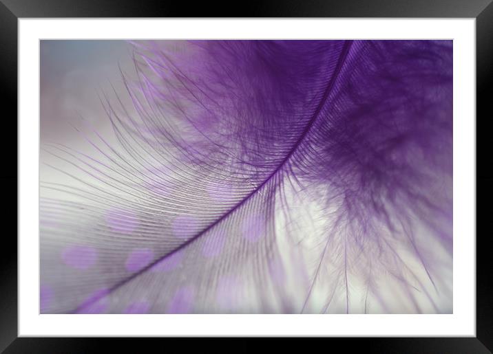 Light Purple Dream                                 Framed Mounted Print by Jenny Rainbow