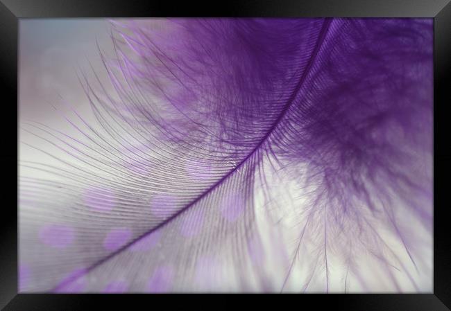 Light Purple Dream                                 Framed Print by Jenny Rainbow
