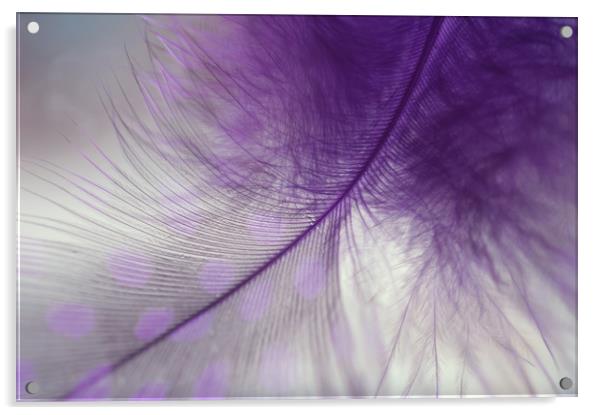 Light Purple Dream                                 Acrylic by Jenny Rainbow
