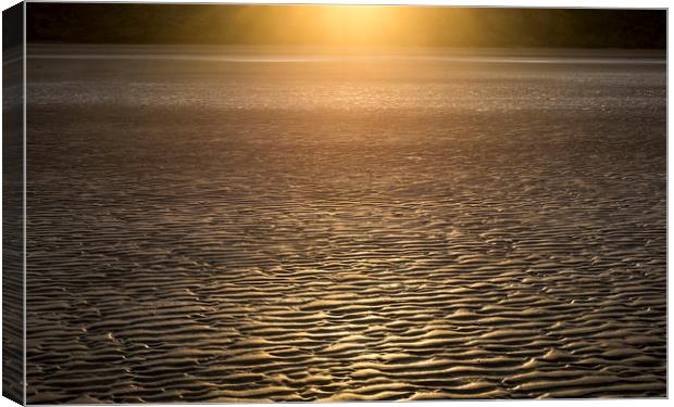 Sunset glow on the sand Canvas Print by Andrew Kearton