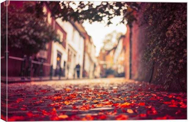 Autumn leaves, Steep Hill, Lincoln Canvas Print by Andrew Scott