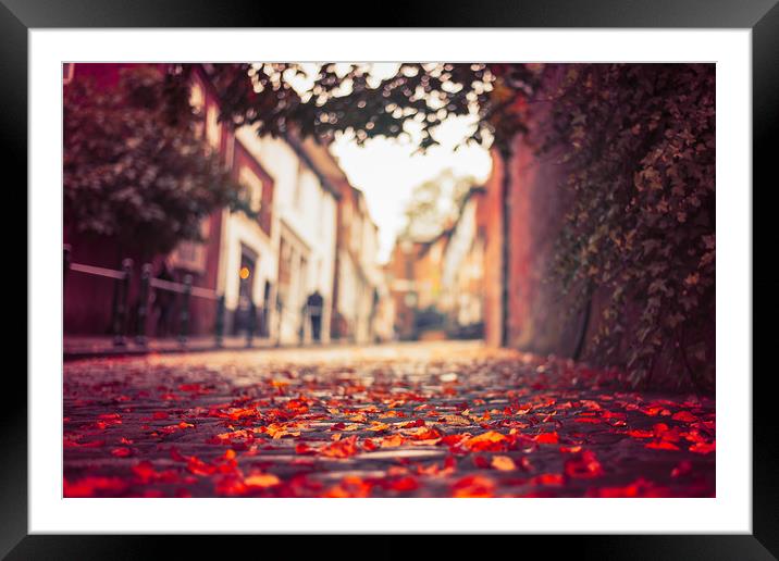 Autumn leaves, Steep Hill, Lincoln Framed Mounted Print by Andrew Scott
