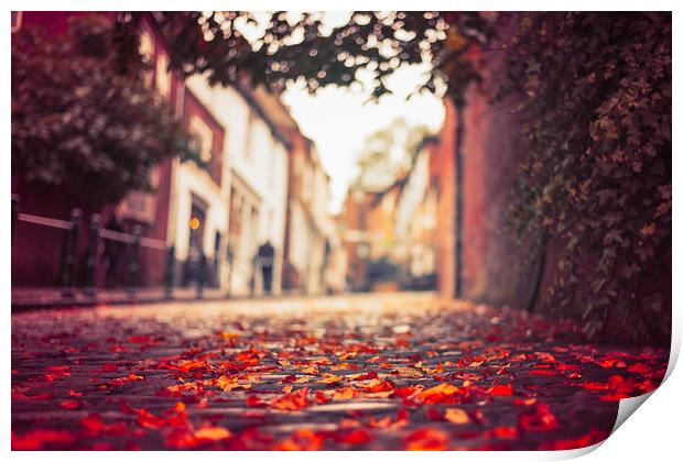 Autumn leaves, Steep Hill, Lincoln Print by Andrew Scott