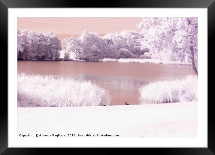 Infrared water view Framed Mounted Print by Amanda Peglitsis
