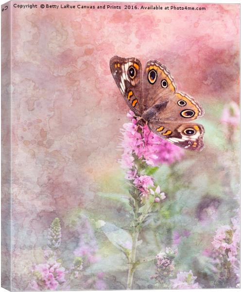 A Taste of Spring Canvas Print by Betty LaRue