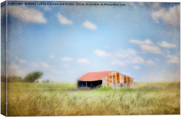 The Old Shed Meeting Place Canvas Print by Betty LaRue