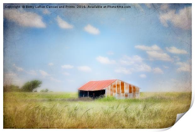 The Old Shed Meeting Place Print by Betty LaRue