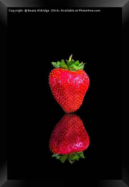Strawberry reflection Framed Print by Beata Aldridge