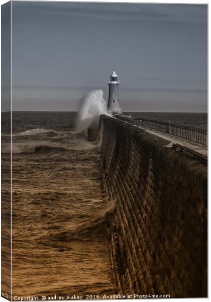 Tynemouth waves Canvas Print by andrew blakey