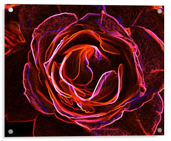 Rosy Glow. Acrylic by K. Appleseed.