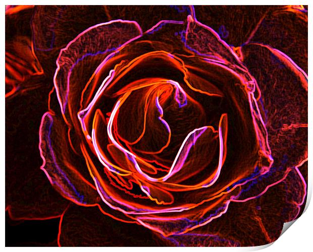 Rosy Glow. Print by K. Appleseed.