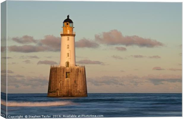Golden light at Rattray Head Canvas Print by Stephen Taylor