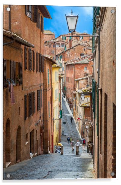 Siena Backstreet, Italy Acrylic by Colin Allen