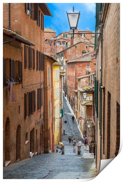 Siena Backstreet, Italy Print by Colin Allen