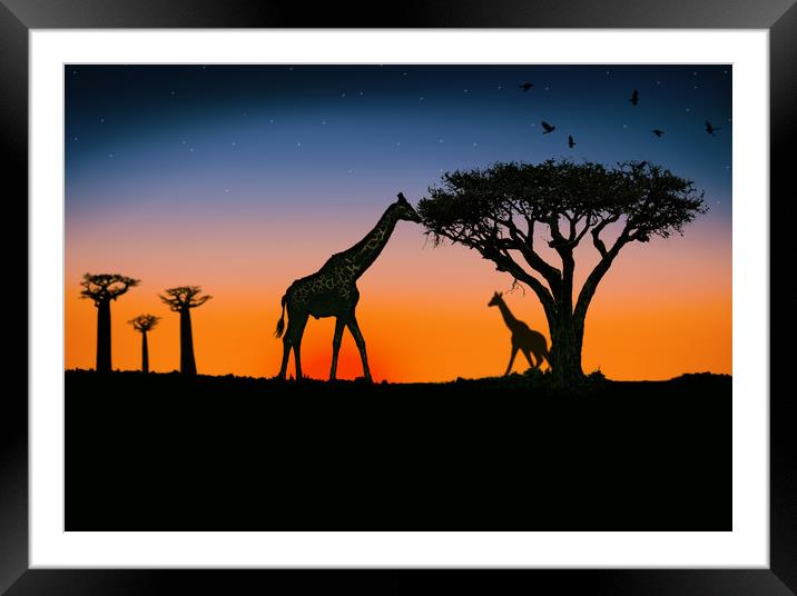 giraffes at sunset Framed Mounted Print by Guido Parmiggiani