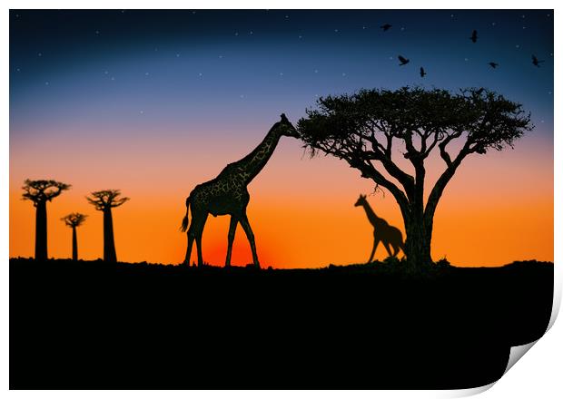 giraffes at sunset Print by Guido Parmiggiani