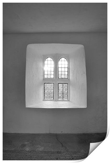 Tower gate window...Torre Abbey Print by K. Appleseed.