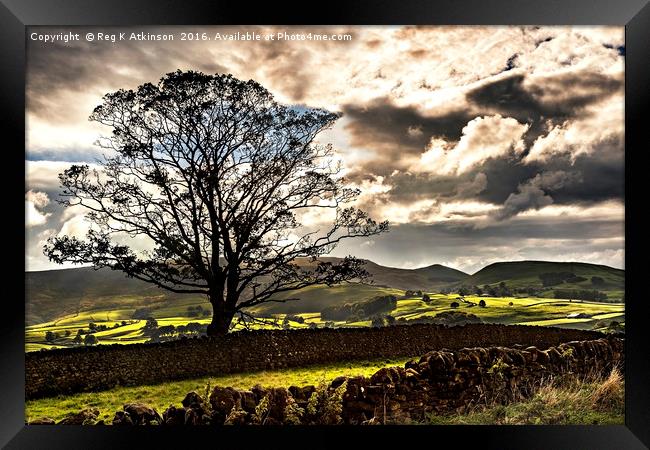 Towards Elbolton Framed Print by Reg K Atkinson