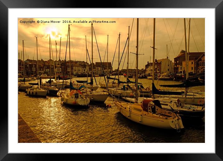Weymouth Harbour Sunset Framed Mounted Print by Diana Mower