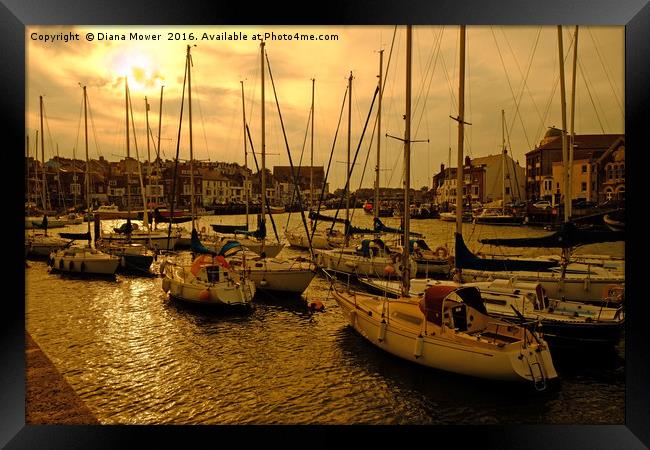 Weymouth Harbour Sunset Framed Print by Diana Mower
