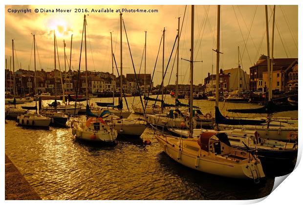 Weymouth Harbour Sunset Print by Diana Mower