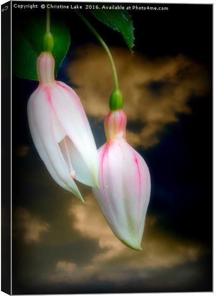 A Light In The Dark Canvas Print by Christine Lake