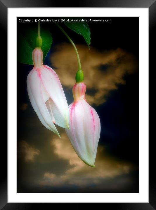 A Light In The Dark Framed Mounted Print by Christine Lake