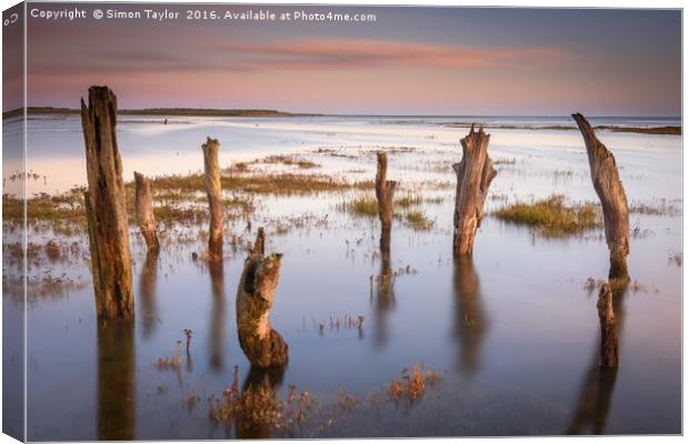 Thornham Stumps at high tide Canvas Print by Simon Taylor