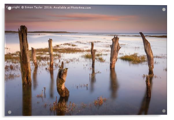 Thornham Stumps at high tide Acrylic by Simon Taylor