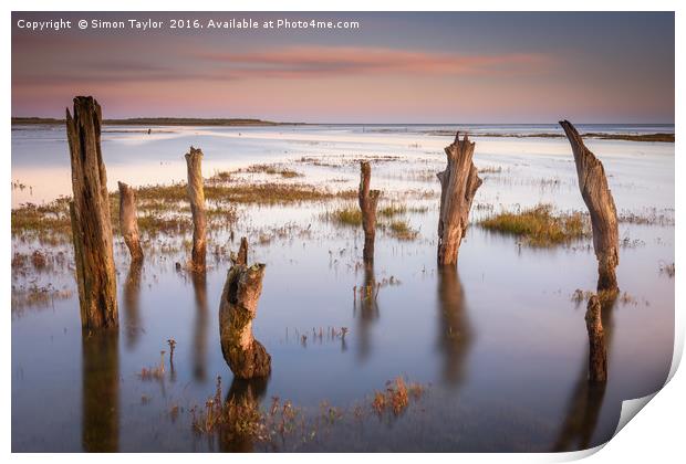Thornham Stumps at high tide Print by Simon Taylor