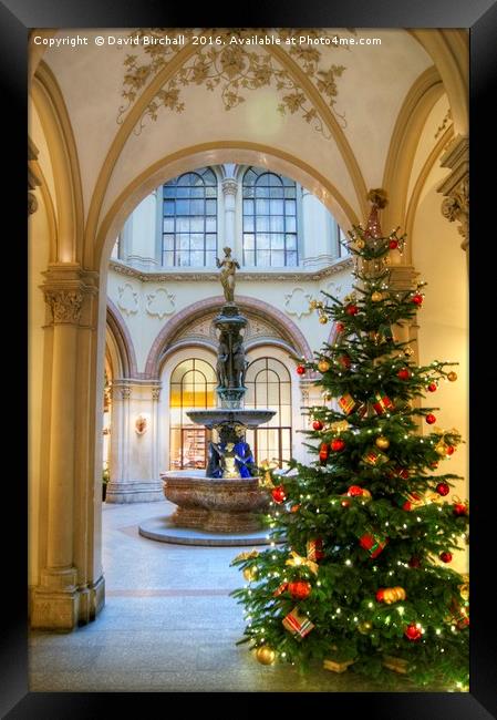 Christmas Tree in Ferstel Passage, Vienna Framed Print by David Birchall