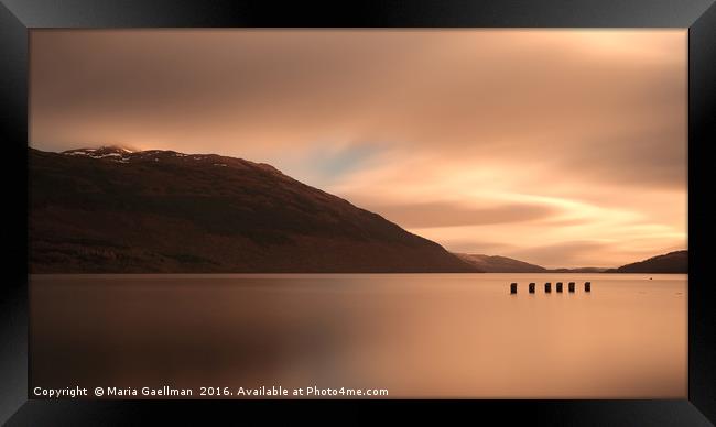 Loch Lomond golden Sunset Framed Print by Maria Gaellman