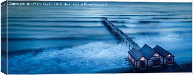 Into the Deep Blue Canvas Print by richard sayer