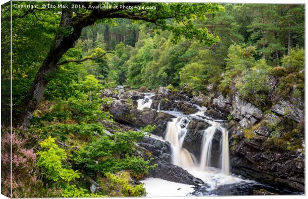 Rogie Falls, Scotland Canvas Print by The Tog