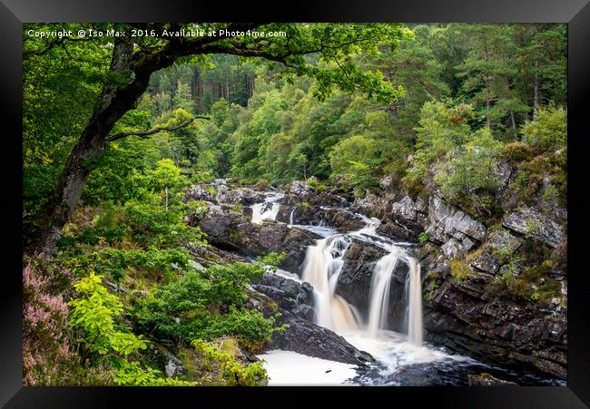 Rogie Falls, Scotland Framed Print by The Tog