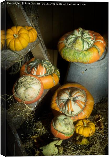 A Ladder of Pumpkins Canvas Print by Ann Garrett